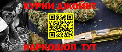 дживик Можга
