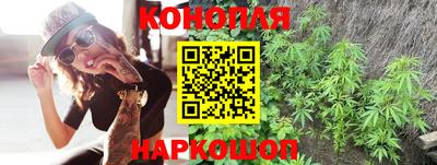 гидра Моздок