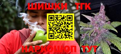 дживик Можга