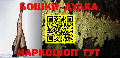 дживик Можга