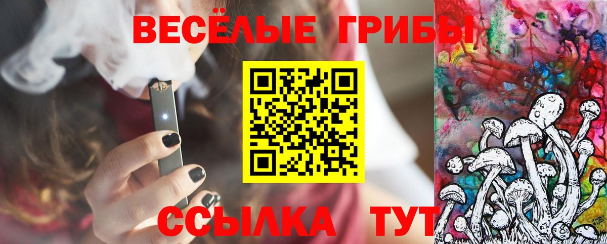 Галлюциногенные грибы прущие грибы Шарыпово